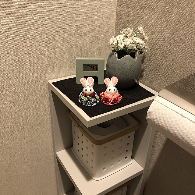 usagisanさんの実例写真