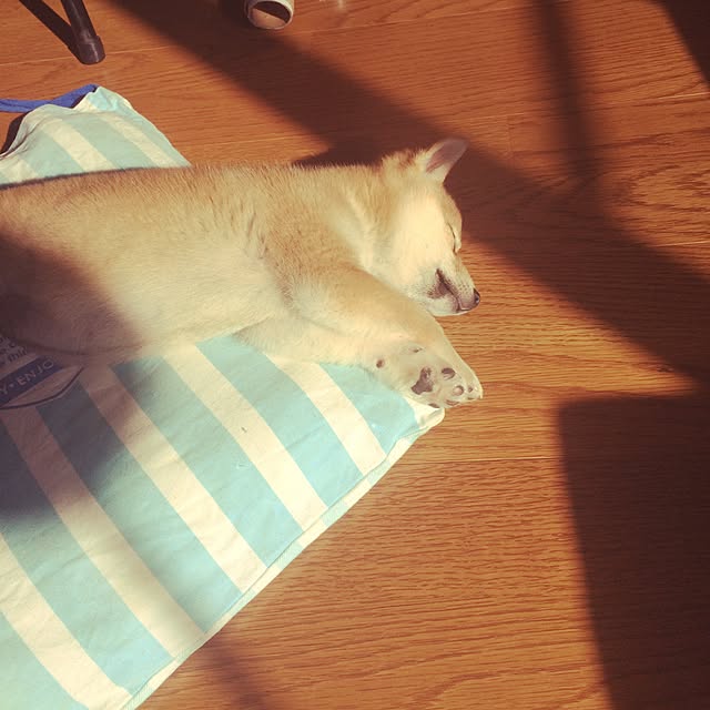 e_tさんの実例写真