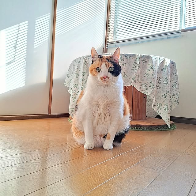 nanaさんの実例写真