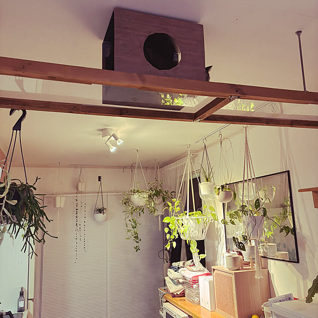 masamasaさんの部屋