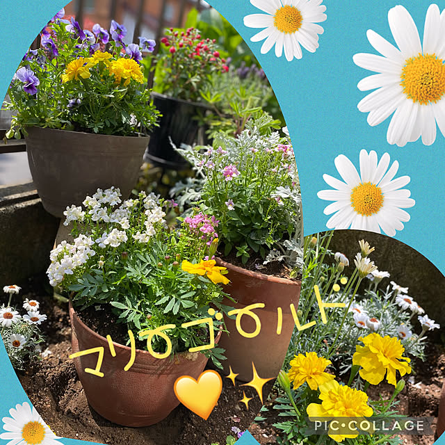 Smilkazuさんの実例写真