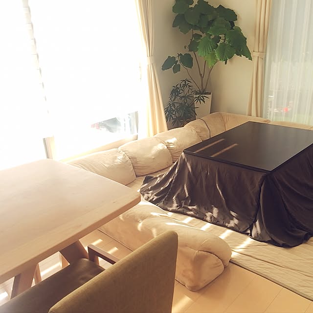marucoさんの実例写真