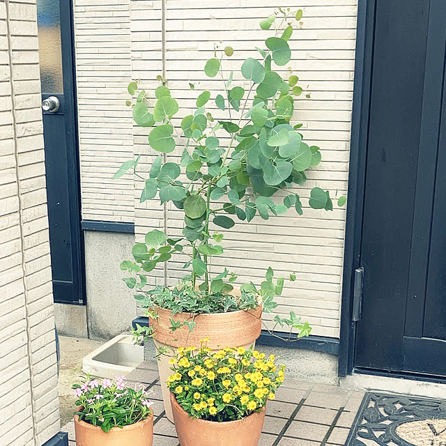 kanaさんの実例写真