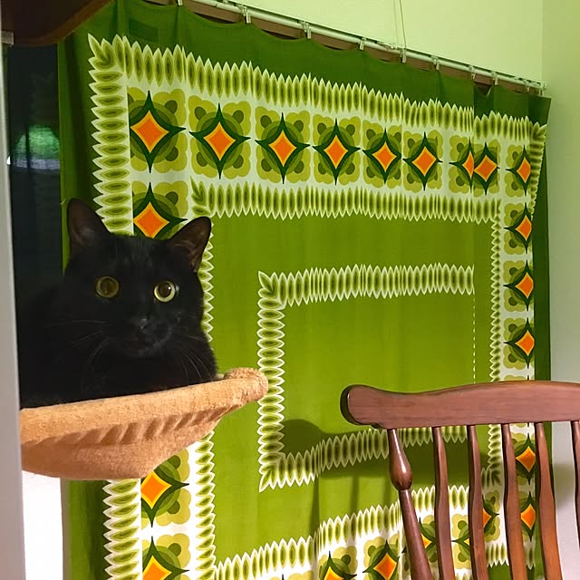 hilaさんの実例写真