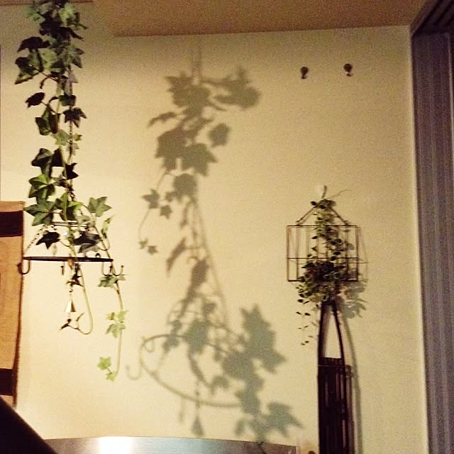 tmsyspeceさんの実例写真