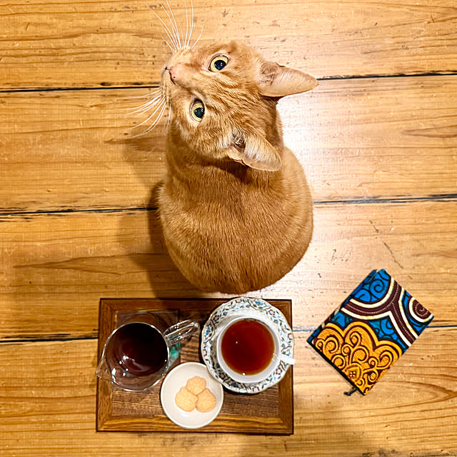 Maruさんの実例写真