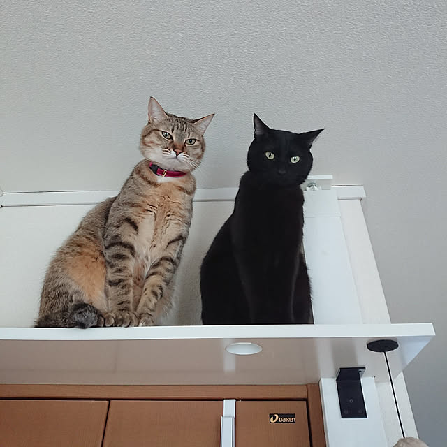 maikyさんの実例写真