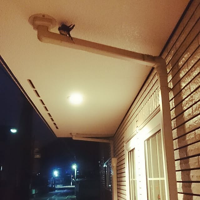 yukaさんの実例写真