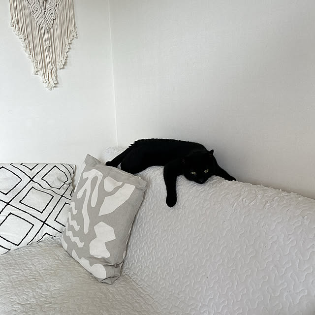 nekomiさんの部屋