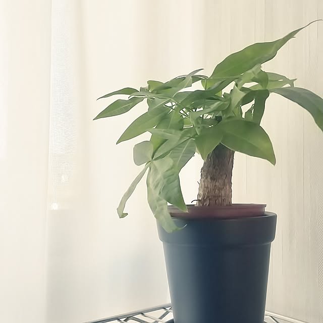 Keiさんの実例写真