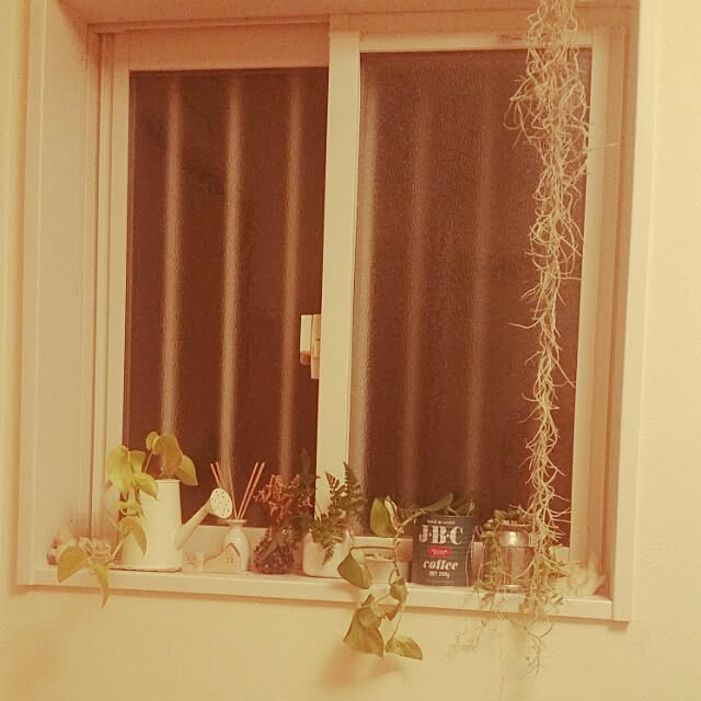 shionさんの実例写真