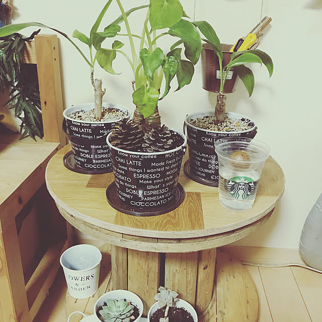 リビング/初投稿/DIY/観葉植物/ナチュラルのインテリア実例 - 2018-05-15 20:40:53