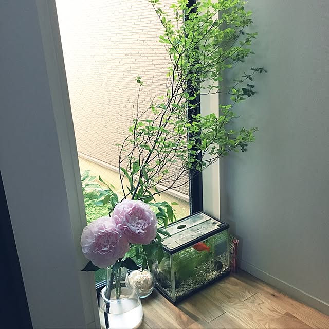 yuririoさんの実例写真