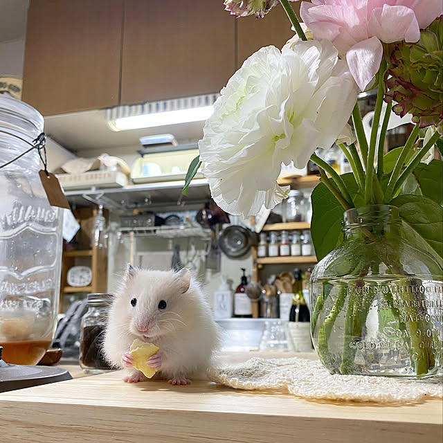 emiさんの実例写真