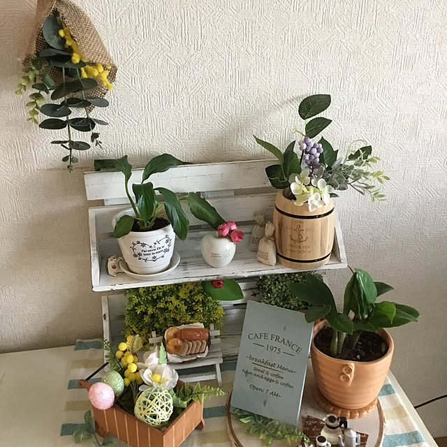 Tasoriさんの実例写真