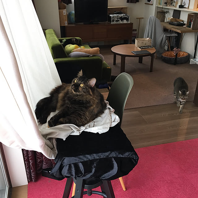 mikomaruさんの実例写真