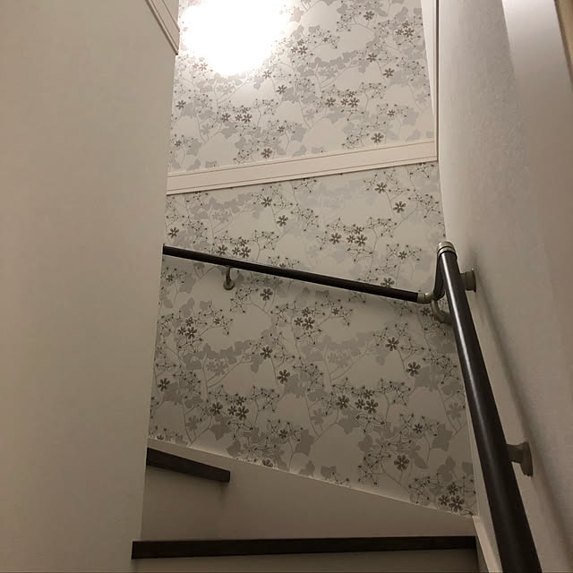 壁/天井のインテリア実例 - 2018-05-01 06:29:06