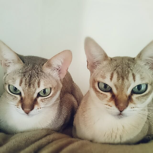 Jcさんの実例写真