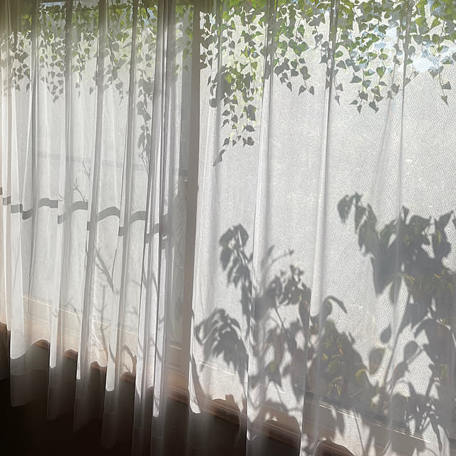 kakoさんの部屋