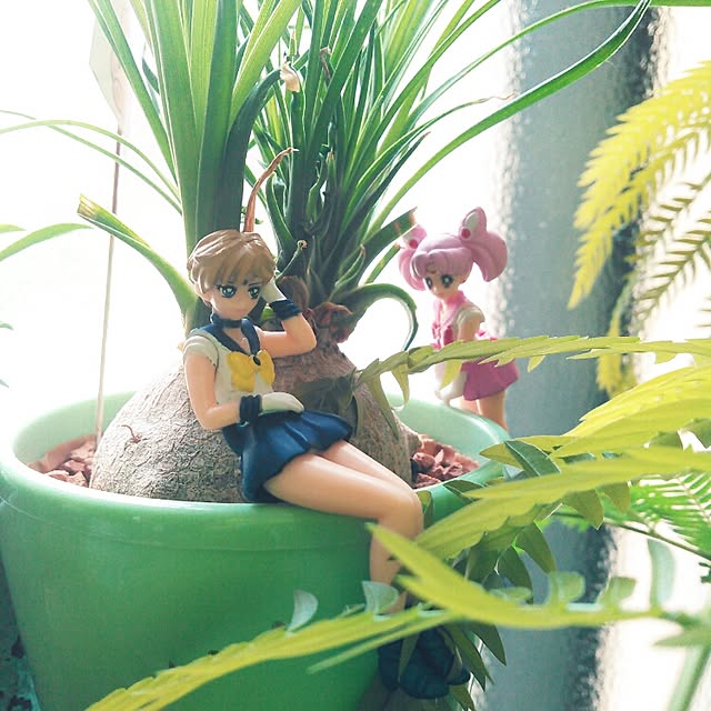 akr29さんの実例写真