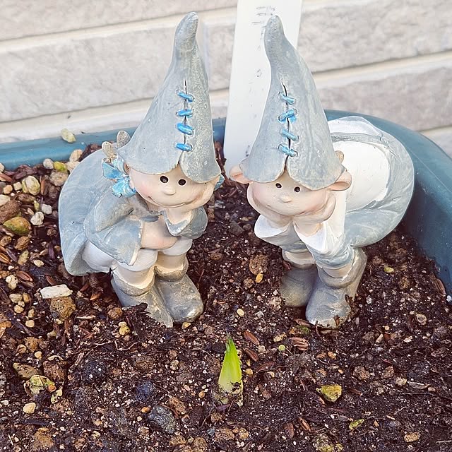 mocomocoさんの実例写真
