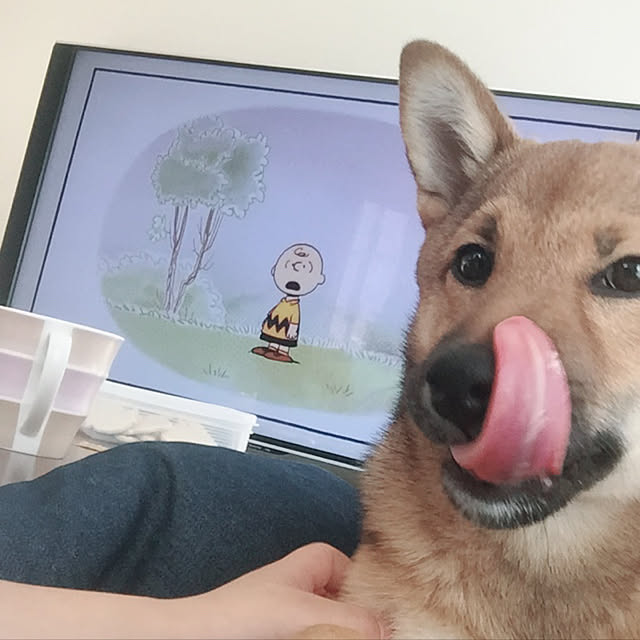 tomoさんの実例写真