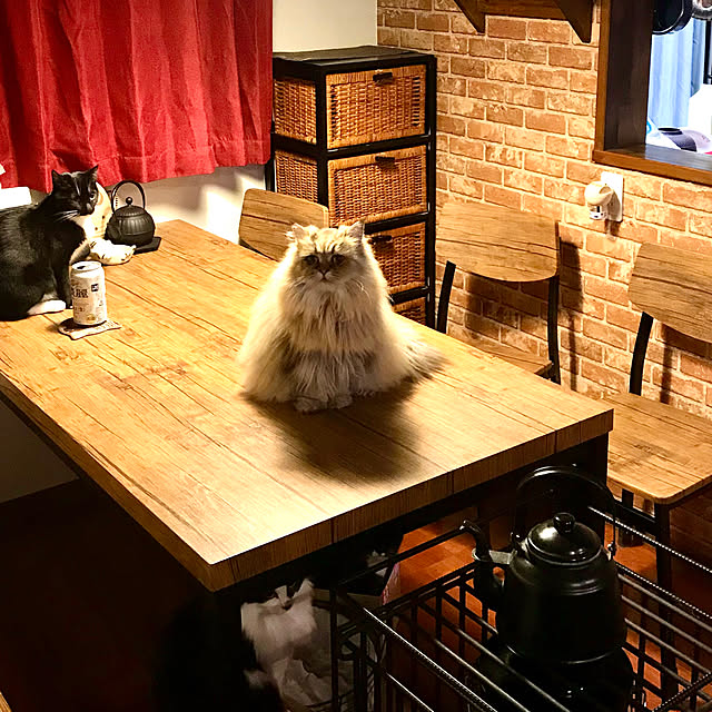 butachanさんの実例写真