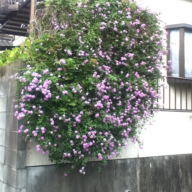 KEIさんの実例写真