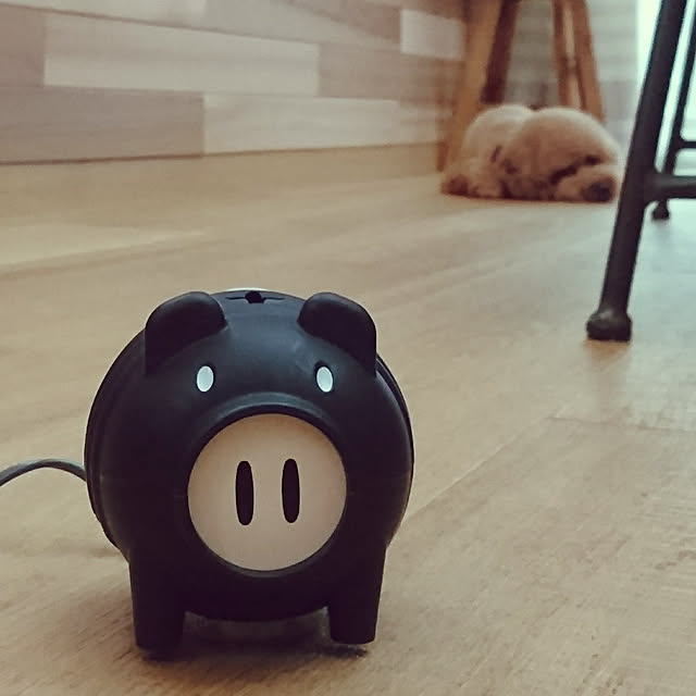 reiさんの実例写真