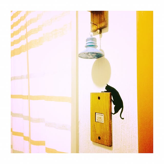 manatomoさんの実例写真
