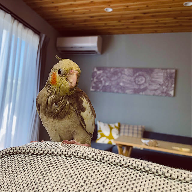 Otsuuu_houseさんの実例写真