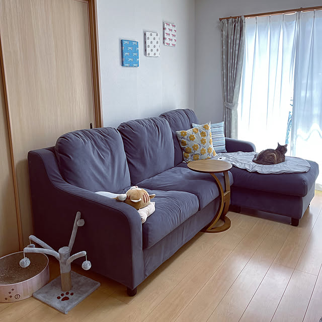 chiiさんの実例写真