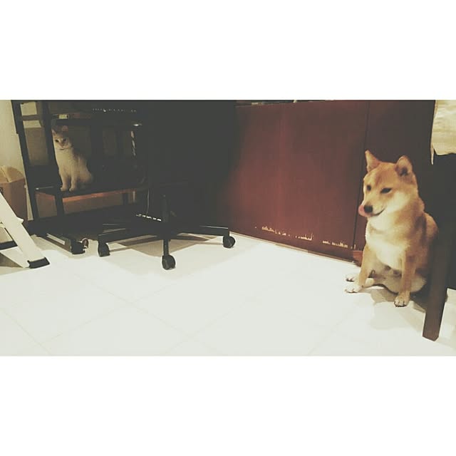 okameさんの実例写真