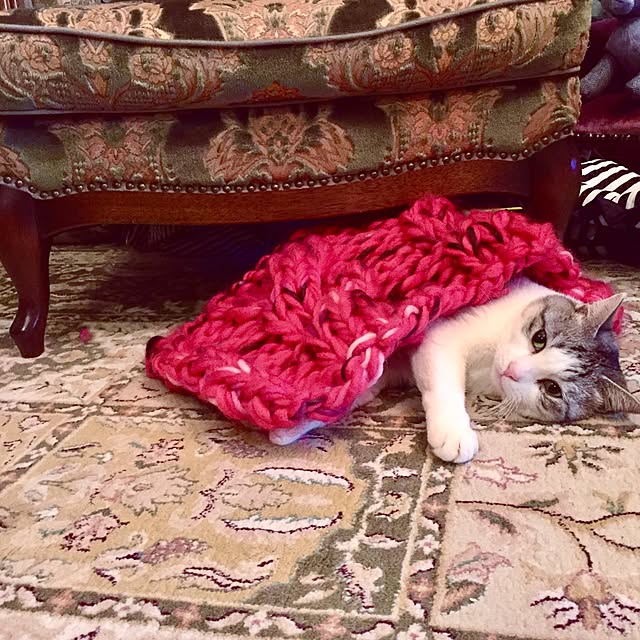 emmyyさんの実例写真