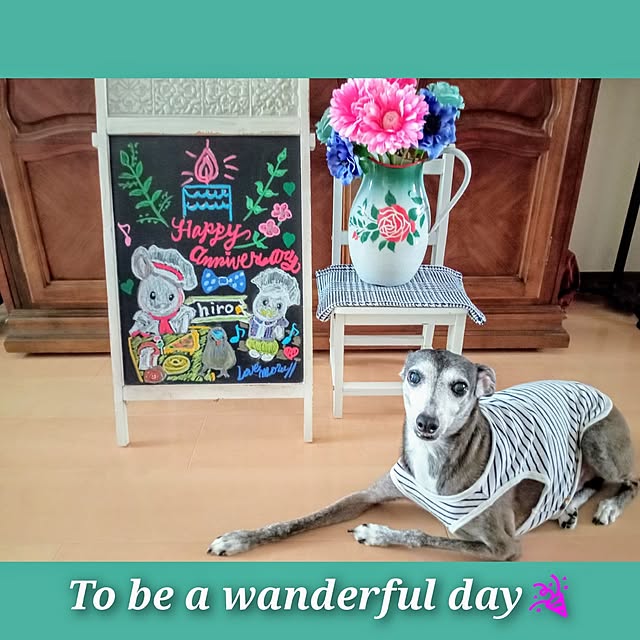 moruさんの部屋