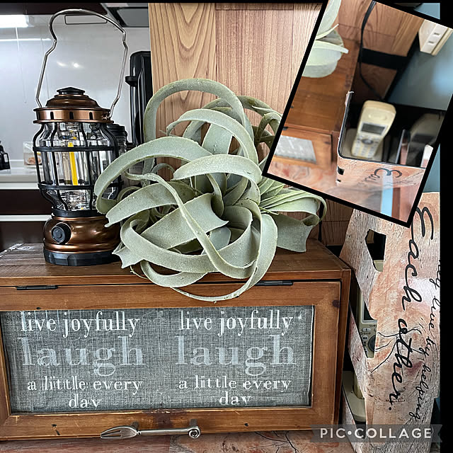izuさんの実例写真