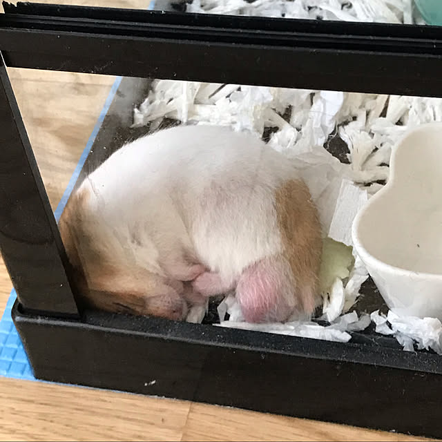 SAさんの実例写真
