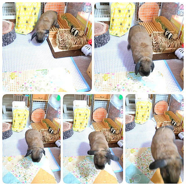 mariaさんの実例写真