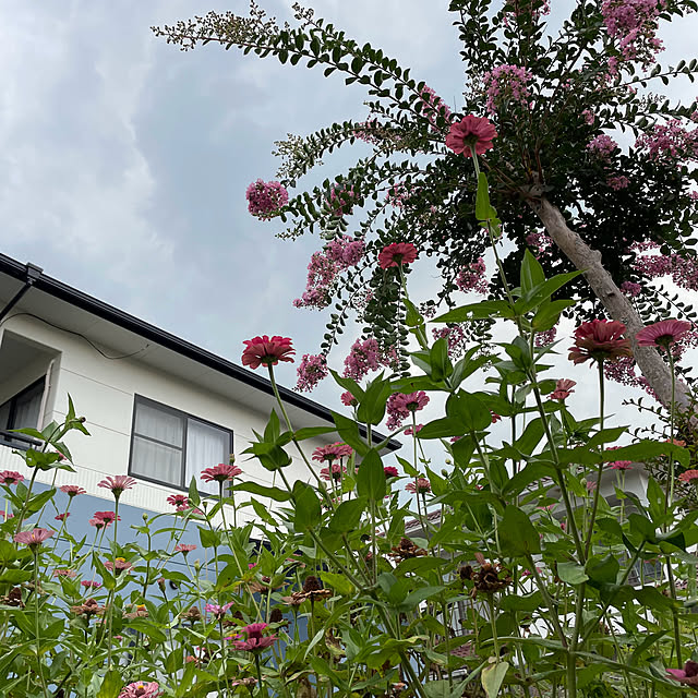 natsumiさんの部屋
