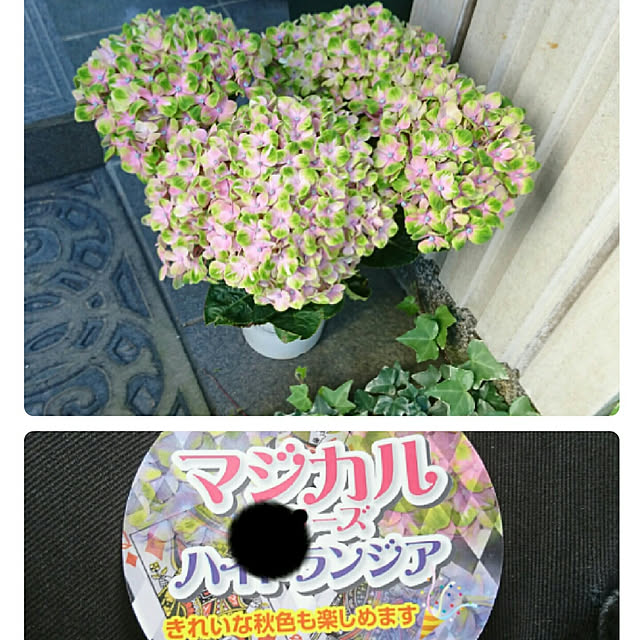 yuukyさんの実例写真