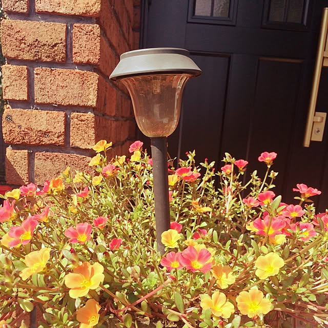 ma_house3101さんの実例写真