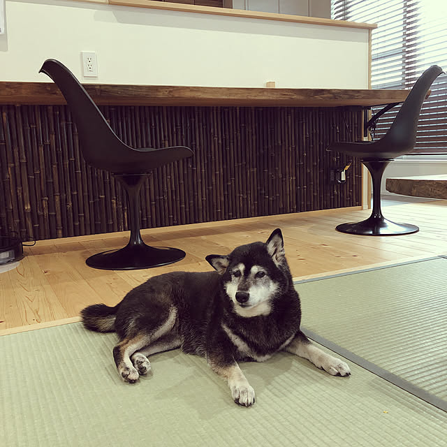 sakura0317さんの実例写真