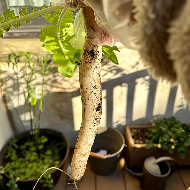 tabasaさんの実例写真