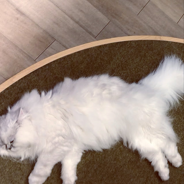 W.S.Yさんの実例写真