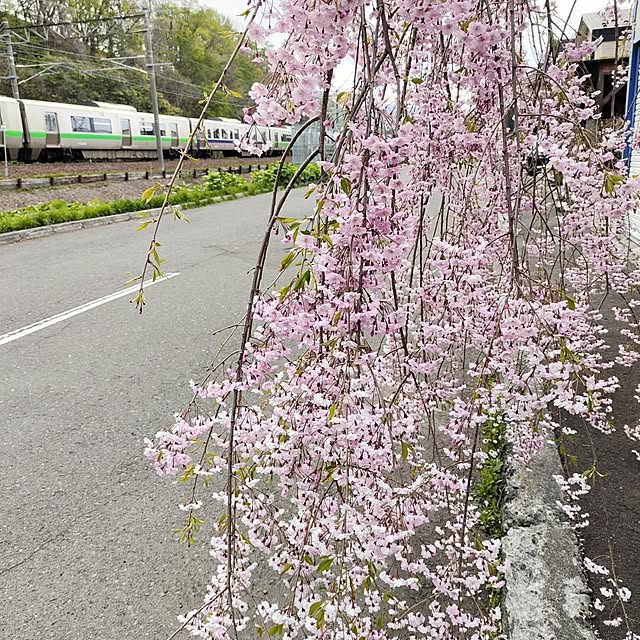 kiraさんの部屋