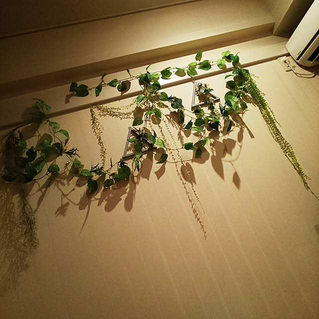 toumatoさんの実例写真