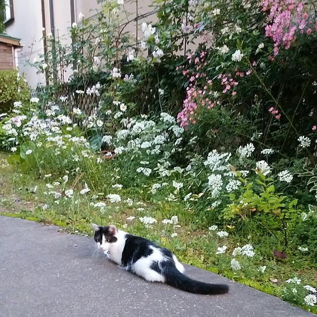 yum0408さんの実例写真