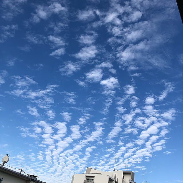 kumi93さんの実例写真
