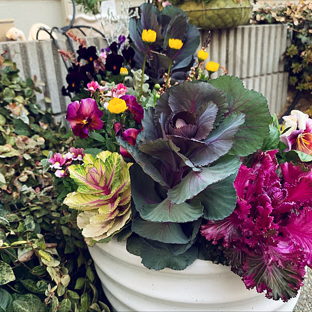 yukarin-gardenさんの実例写真