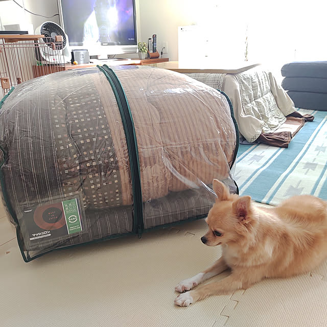 kouさんの実例写真